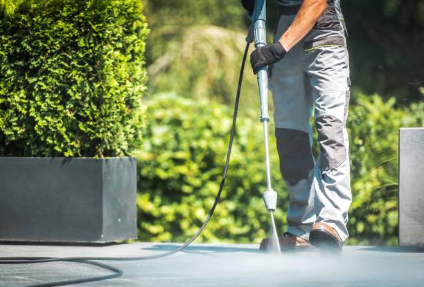 Animal Enclosure Cleaning in Boscobel, WI